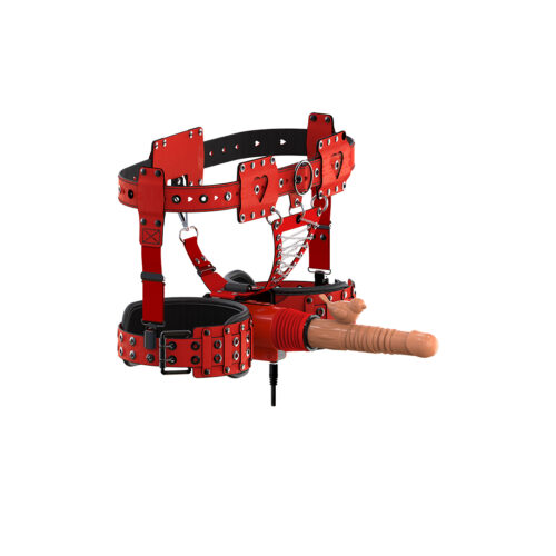 X4-小鸟-D 拷贝 X4